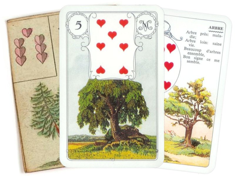 3 cartes de l'arbre du Lenormand sont pr&eacute;sent&eacute;s en &eacute;ventail