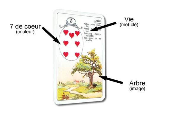 La carte de L'arbre du petit jeu Lenormand avec un texte écrit en haut à droite, le mot clé est la vie